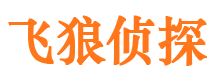 武胜飞狼私家侦探公司